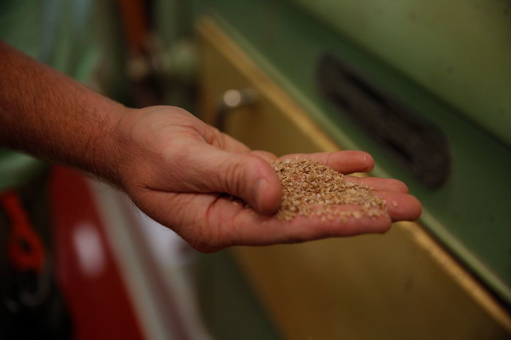 Ardent Mills tour grain